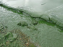 Депутат Госдумы предложил чиновниками хлебнуть нижнетагильской воды