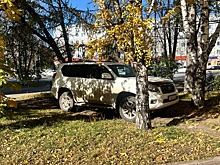 Осенняя фотосессия: "мастер парковки" рассмешил кемеровчан