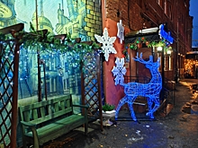 Дементора в Костроме на посту сменил олень с колтуном