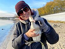 Леска вокруг шеи: таганрожцы спасли птицу из рыбацкой сети