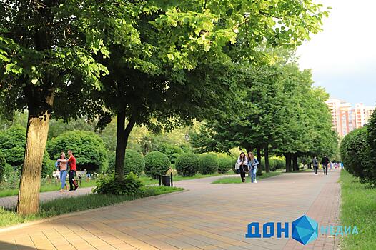 В Ростове застройщик распланирует территорию Лелюшенковского лесопарка и рынка &laquo;Геркулес&raquo;