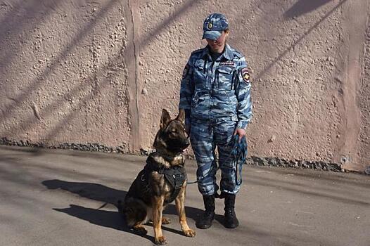 В Центре кинологической службы УВД по ЮВАО состоялась выводка собак