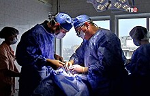 В ГКБ им. Вересаева ежегодно спасают от инсульта 300 пациентов