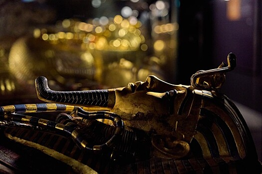 В Новосибирске покажут сокровища гробницы Тутанхамона