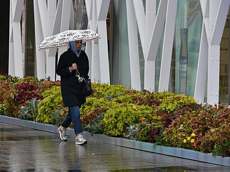 До 7 градусов и небольшой дождь ожидаются в столице 22 октября