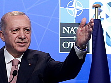 Эрдоган отреагировал на возобновление авиасообщения между Россией и Турцией