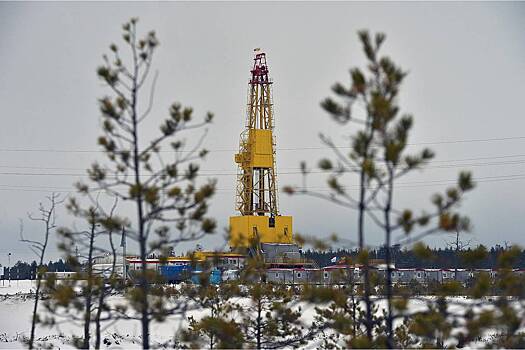 В России признали невозможность самостоятельной добычи газа в Арктике