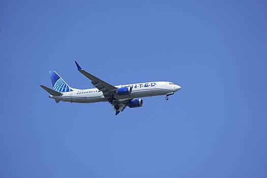 Попытавшийся зарезать бортпроводника ложкой мужчина угодил в тюрьму