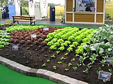Немецкий министр посетила российский стенд на "Зеленой неделе"