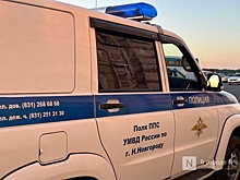 Нижегородская полиция подключилась к делу о разгромленном ларьке с мороженым