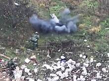 Поросенок спас российских штурмовиков в зоне СВО