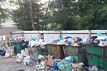 Воронежские чиновники не смогли заставить УК вывозить мусор