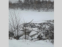 Из озера в Башкирии подняли более 850 погибших баранов