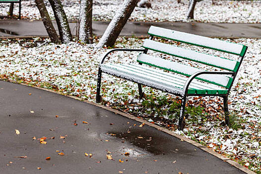 Первый снег и заморозки: когда в Новосибирск придут первые минусовые температуры