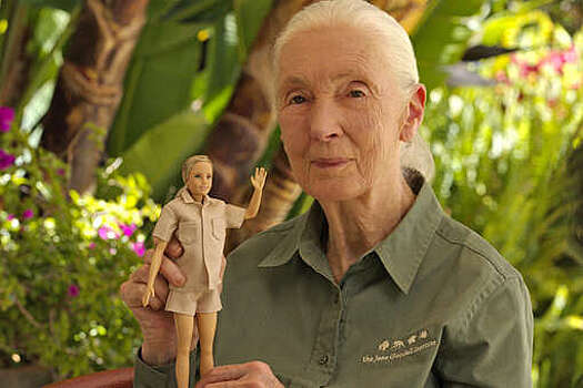 Антрополог Джейн Гудолл стала прототипом для "зеленой" куклы Barbie
