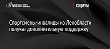 Спортсмены-инвалиды из Ленобласти получат дополнительную поддержку