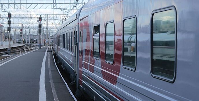 Двух пьяных хулиганов сняли с поезда в Ростове