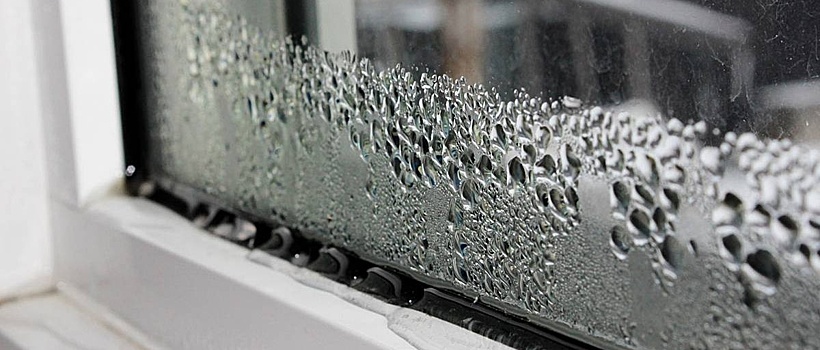 Эксперты назвали дешёвый способ уменьшить количество конденсата на окнах