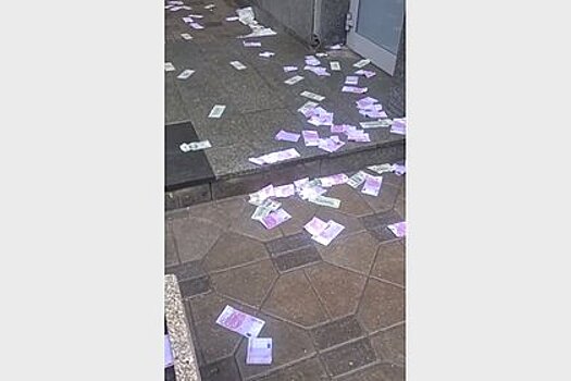 Раскрыты подробности дела против устроившего денежный дождь москвича