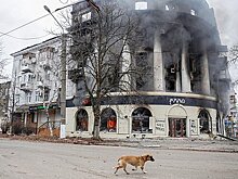 Бывший советник ЦРУ предрек обострение конфликта на Украине