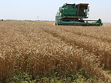 Анапские аграрии подводят итоги