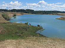 Блогер: Из-за чиновников пруд под Татищевом превращается в болото