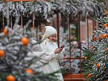 Россиянам рассказали о рабочем времени 30 декабря