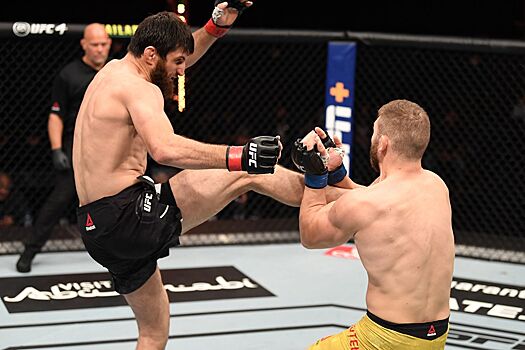 Магомед Анкалаев — Ион Куцелаба, второй бой, UFC 277 Анкалаев — Смит