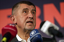 Интрига выборов в Чехии: кто вступит в коалицию с движением Бабиша