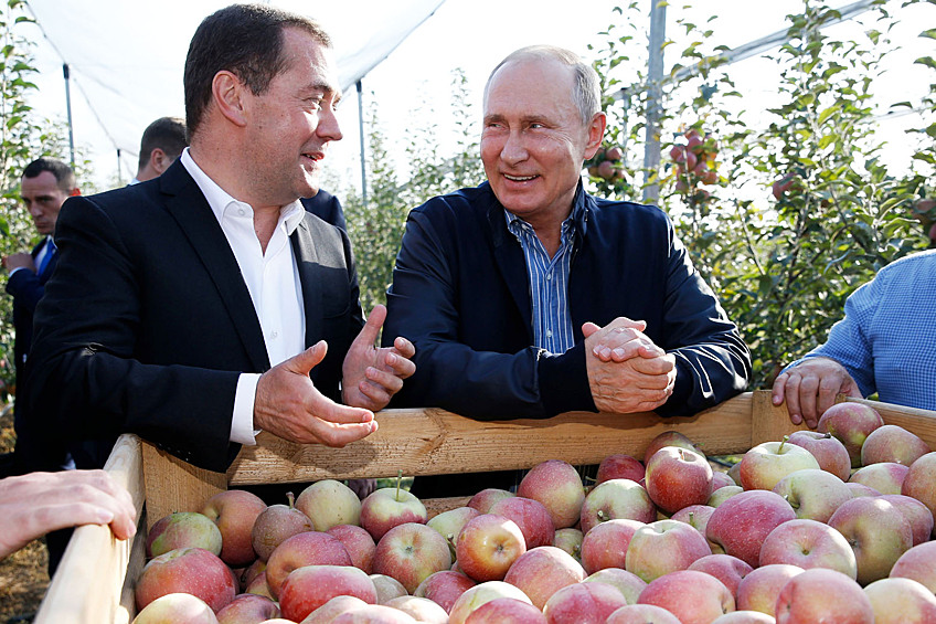  Глава государства и премьер ознакомились с сортом яблок «Фуджина»