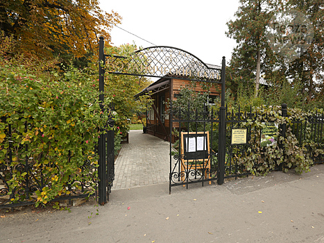 Вход в пензенский ботанический сад 8 марта будет бесплатным