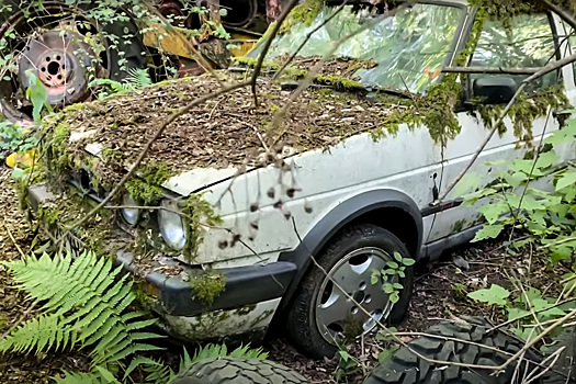 Видео: в лесу нашли коллекцию заброшенных автомобилей