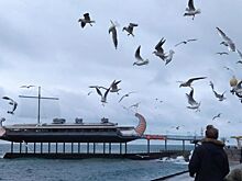 Журналист раскрыл правду об отношении крымчан к Украине