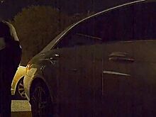 Режим Tesla Sentry оказался бесполезен против грабителей