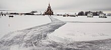 Куряне смогут покататься на ездовых собаках и тройке лошадей