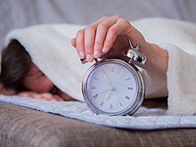 Стало известно, где в России живет больше всего «сов»