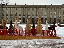 «Красный лес» разберут на части