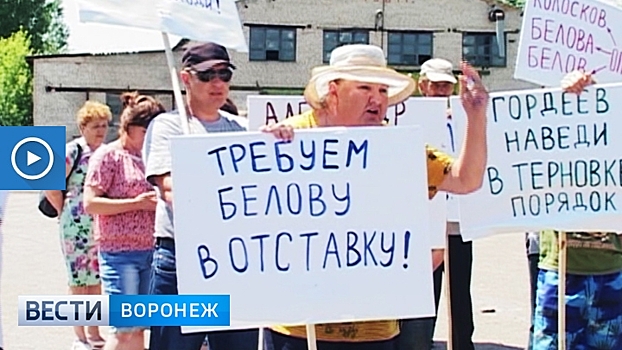 В Воронежской области жители районного центра требуют заменить его главу