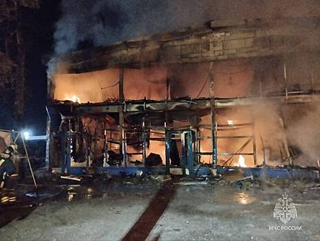 Крупный пожар на стройрынке в Подмосковье попал на видео
