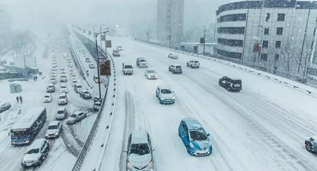 В Уктусском лесопарке отменено строительство дороги к «Баден-Баден»