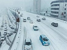 В Уктусском лесопарке отменено строительство дороги к «Баден-Баден»