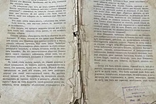 В новосибирскую библиотеку вернули книгу спустя 95 лет