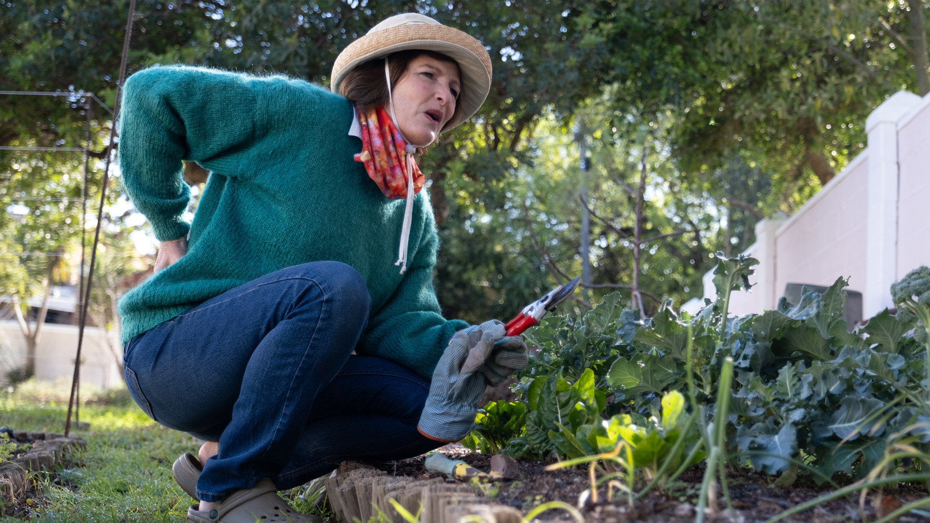 10 опасностей, которые таятся в сельской местности