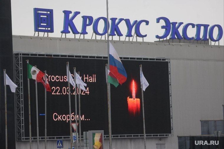На здании «Крокуса» в память о погибших в теракте появилась проекция «Журавли»