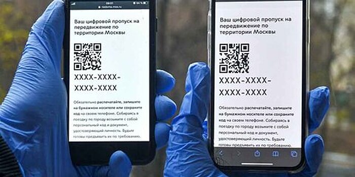 Москва онлайн: как сотрудники ГИБДД проверяют пропуска 1 мая