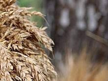 Работников сельского хозяйства поздравили с профессиональным праздником в Удмуртии