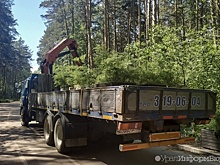 С улицы Отдыха на Шарташе начали вывозить клумбы за 11 миллионов рублей
