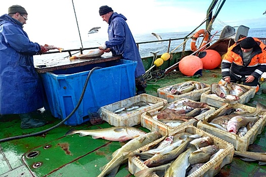 Для традиционного промысла рыбы в Заполярье не хватает причалов