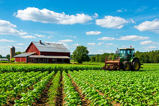В Хакасии бойцы СВО смогут получить грант «Агромотиватор»