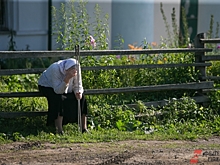 Российский губернатор пообещал лично засыпать яму у дома 99-летнего ветерана